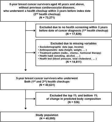 Changes in body composition and subsequent cardiovascular disease risk among 5-year breast cancer survivors